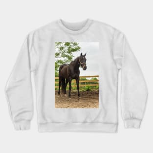 the mighty Sam Crewneck Sweatshirt